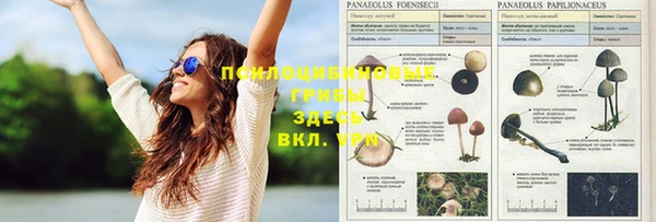 гашиш Белоозёрский