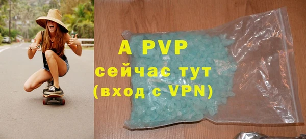 a pvp Белокуриха