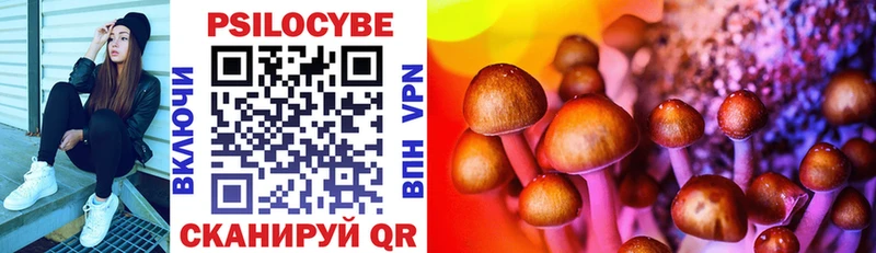 Псилоцибиновые грибы Psilocybe Мончегорск