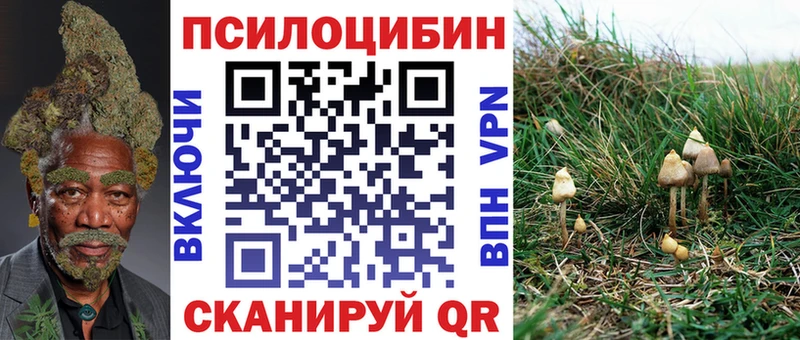 Псилоцибиновые грибы Psilocybine cubensis  где можно купить наркотик  Мончегорск 