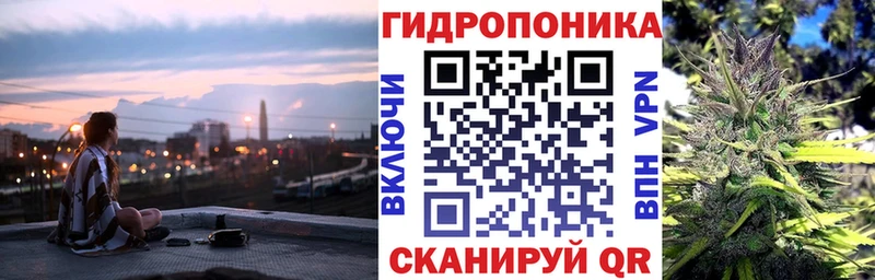 Бошки Шишки семена  Мончегорск 